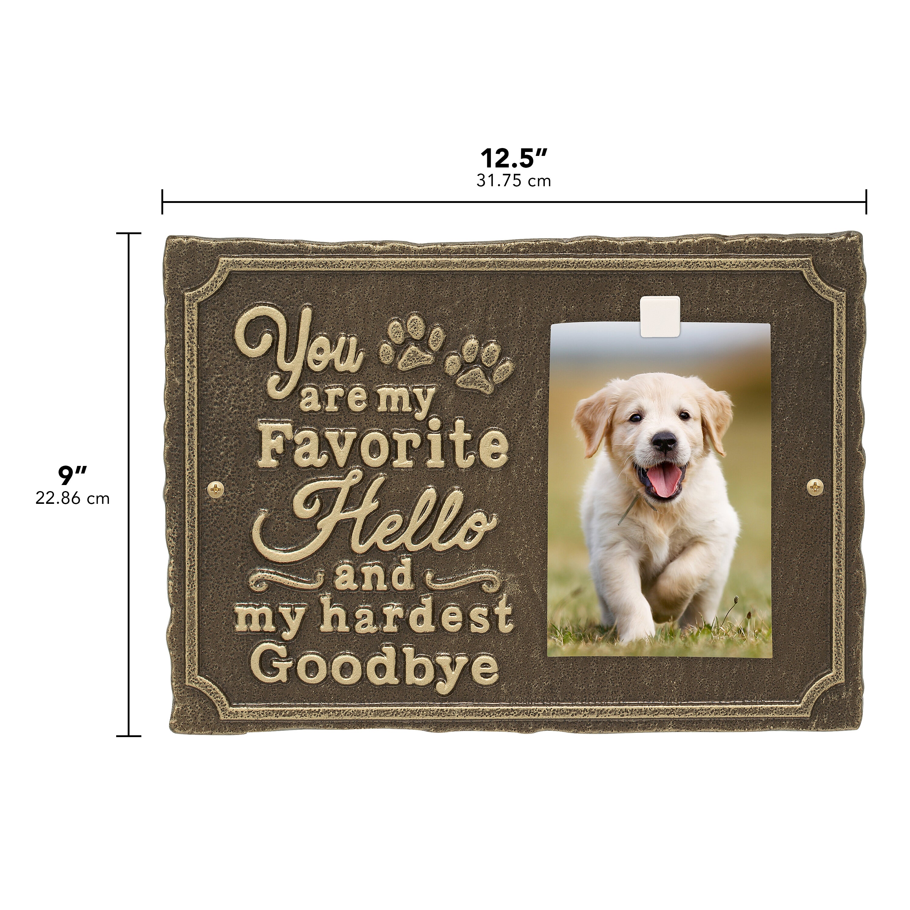 My Favorite Hello Pet Photo Wall Sign