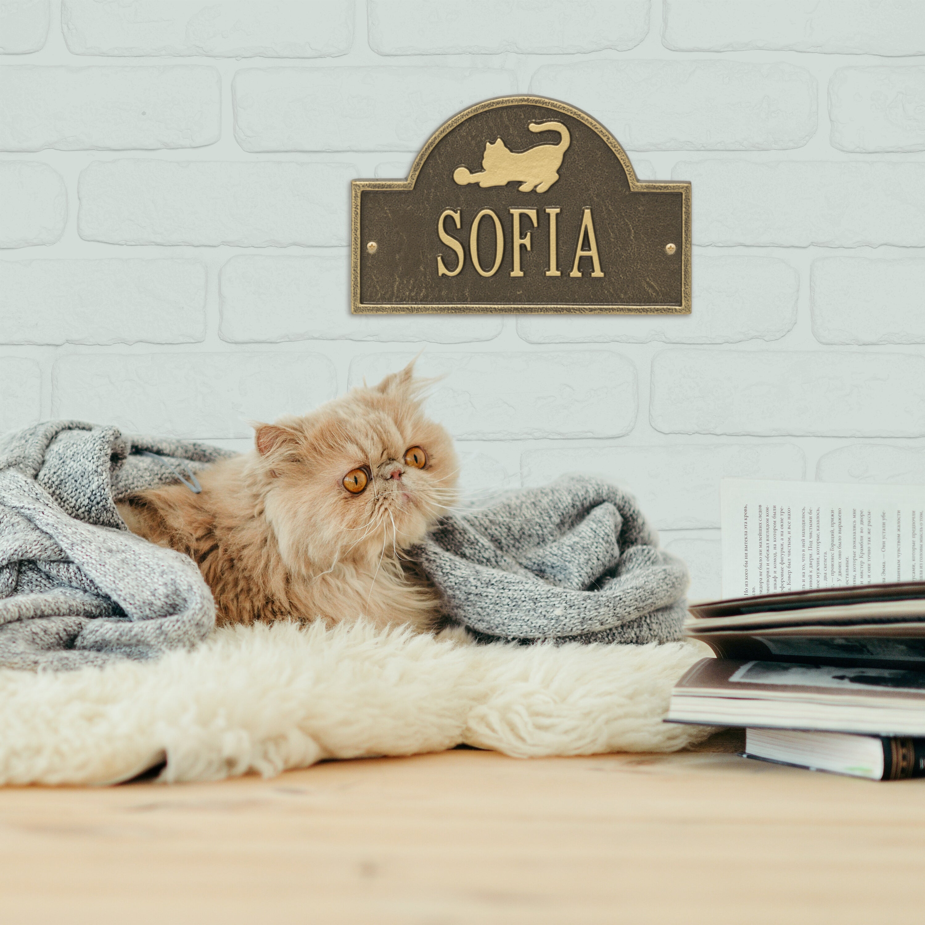 Cat Arch Mini 1-Line Personalized Wall Plaque